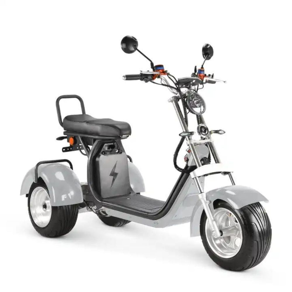 4000W Lithium Battery 3 Wheel Electric Scooter